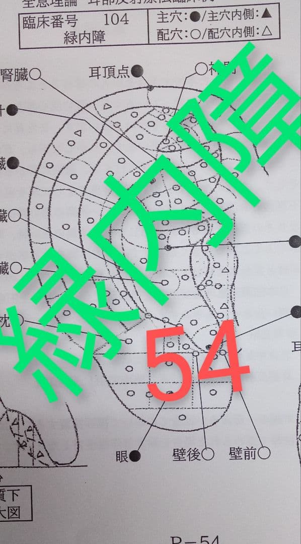Bc:耳つぼ学ぶ：耳臨床54例集+臓器/躯体ラミネート+解説冊子/プリントset