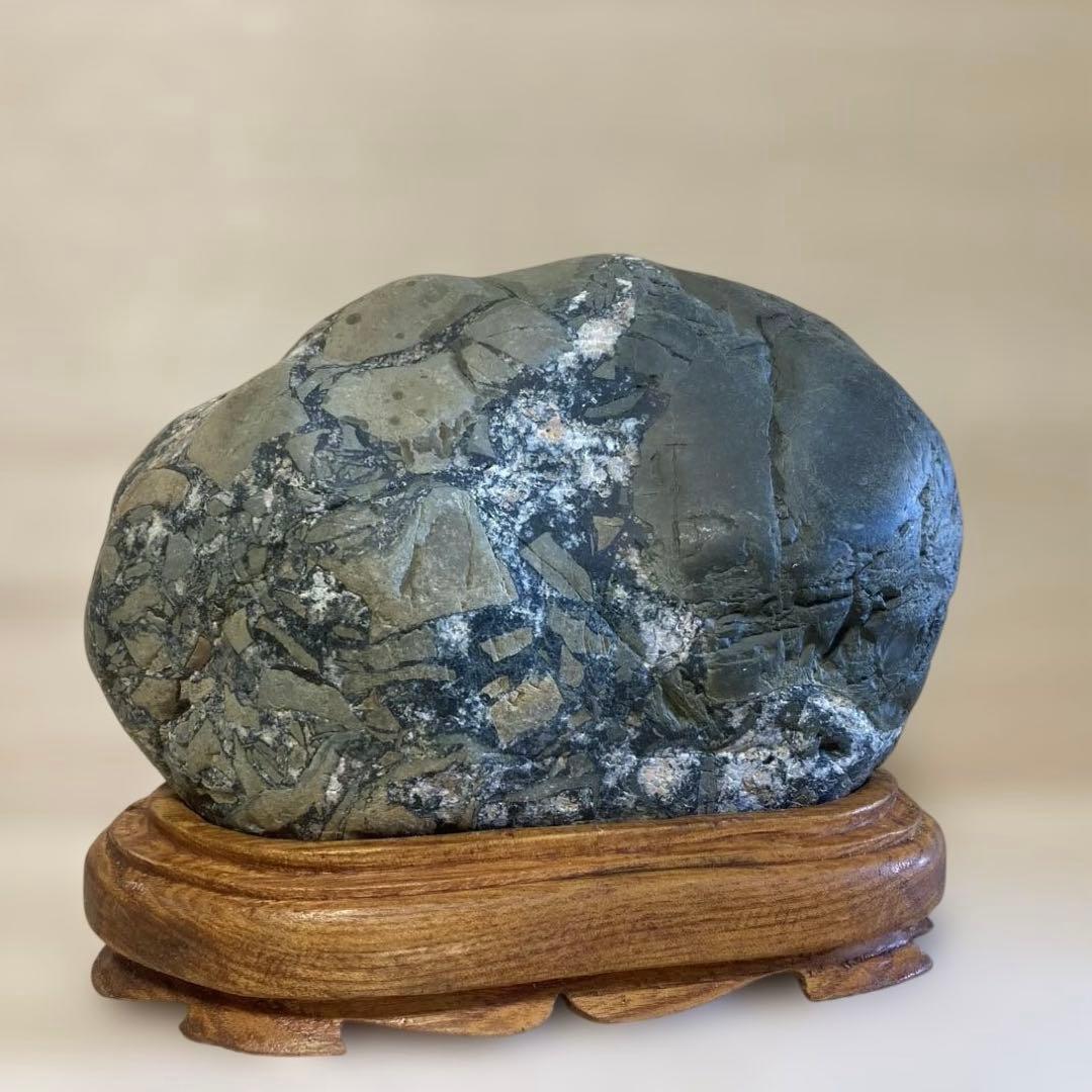 緑亀神　亀龍石　緑碧　嵐渓石　土岐石　出雲石　水石　鑑賞石　特大