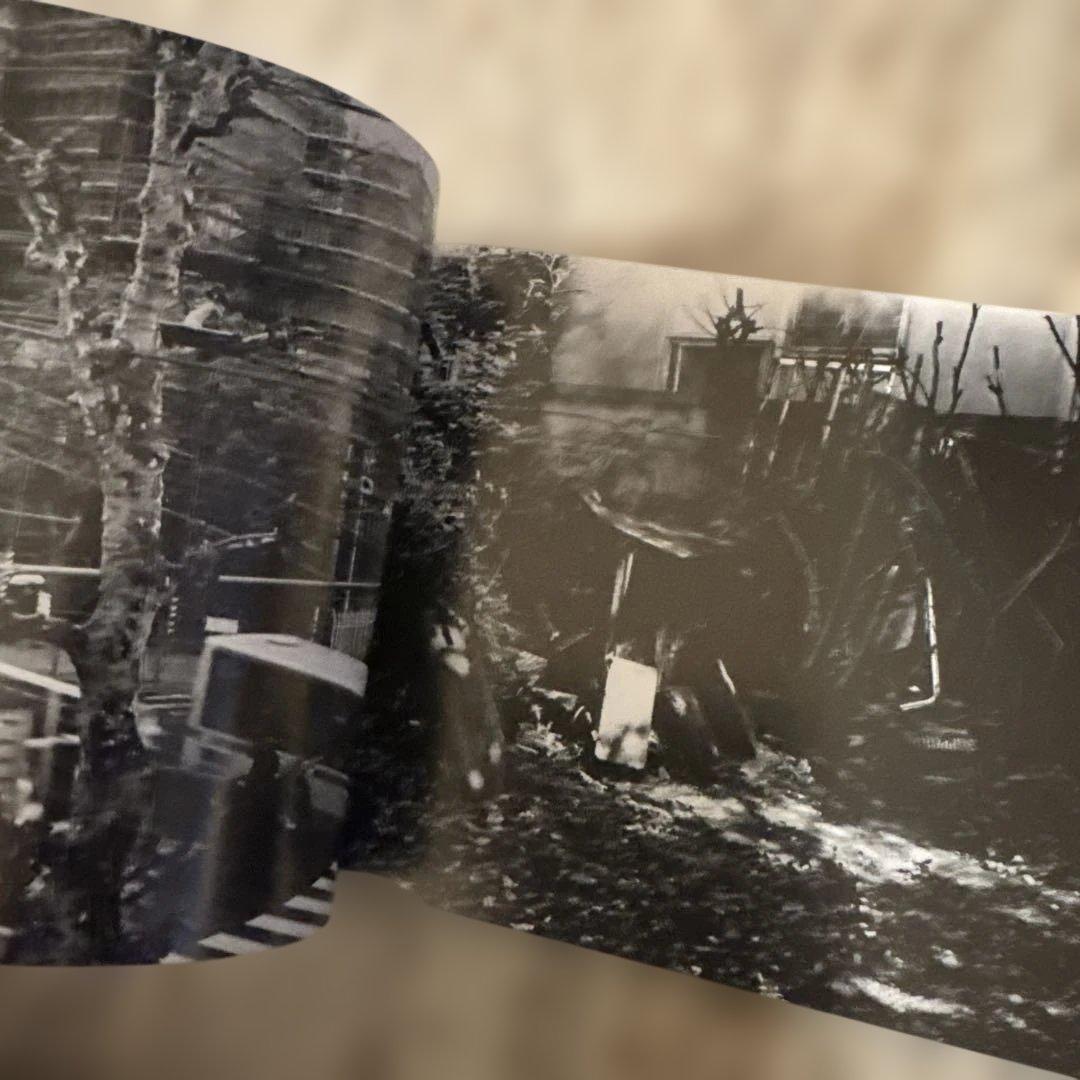 【400部限定サイン入】金村修　Lead-palsy Terminal