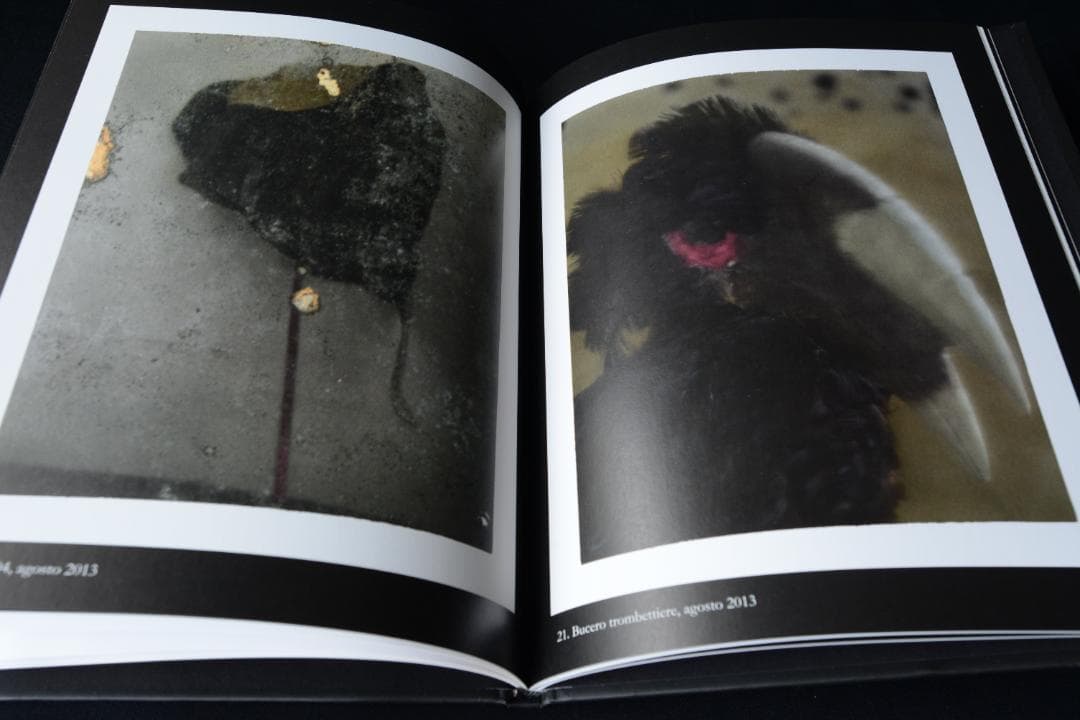 【Sarah moon：Alchimie】サラ ・ムーン