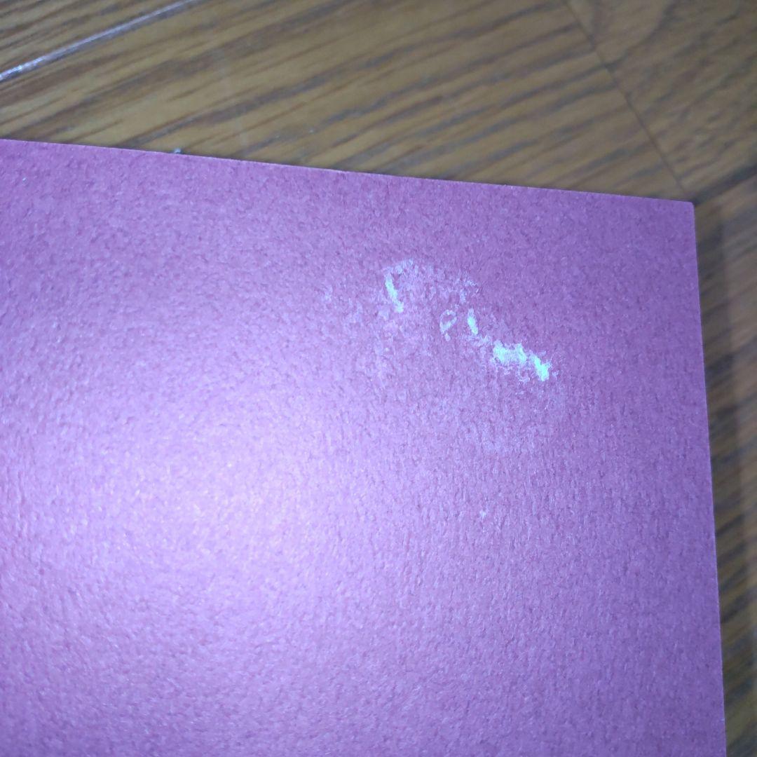 野生のアノマリー スピノザにおける力能と権力　ネグリ