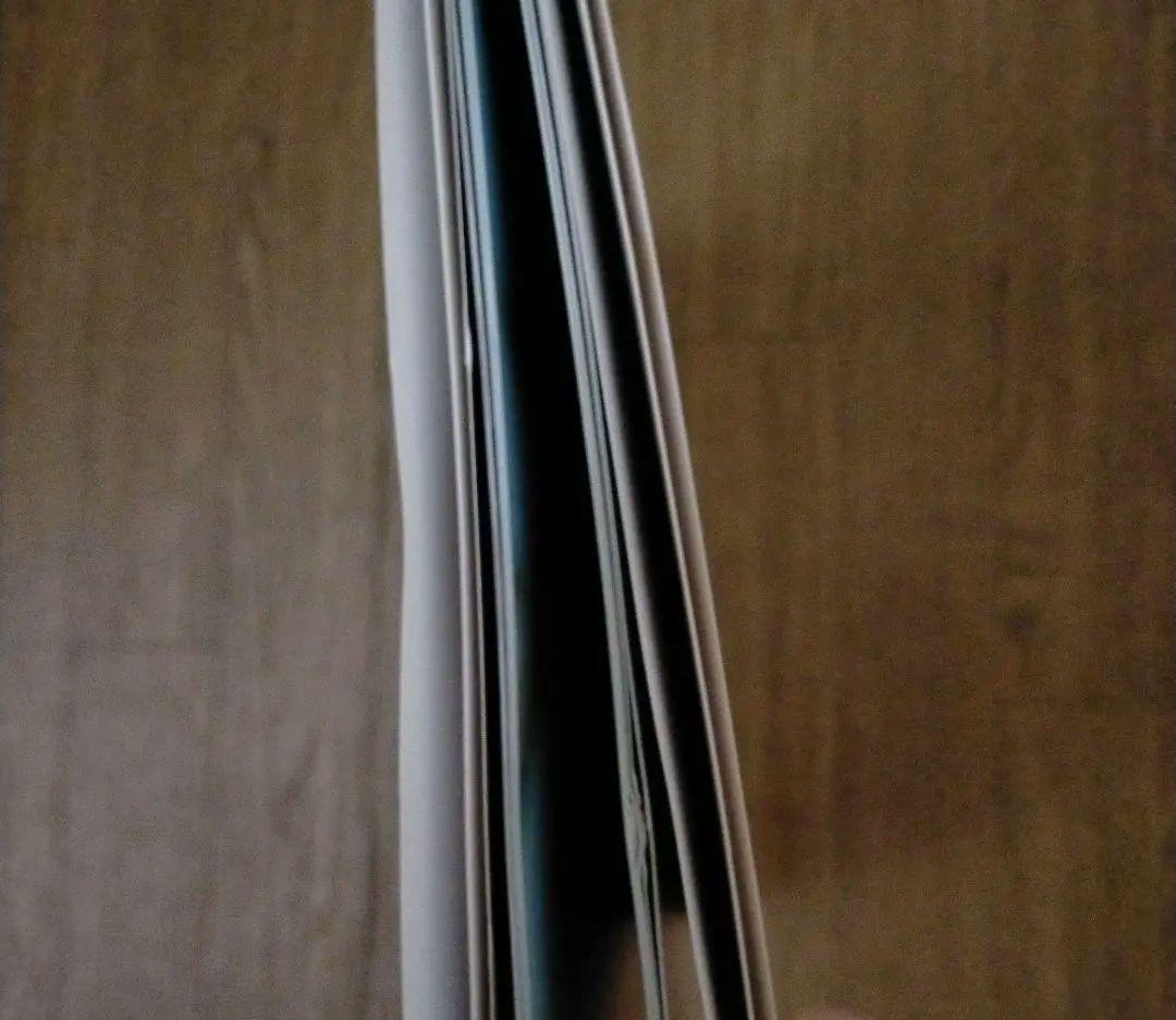 なめ猫　なめんなよ　大写真館　初版