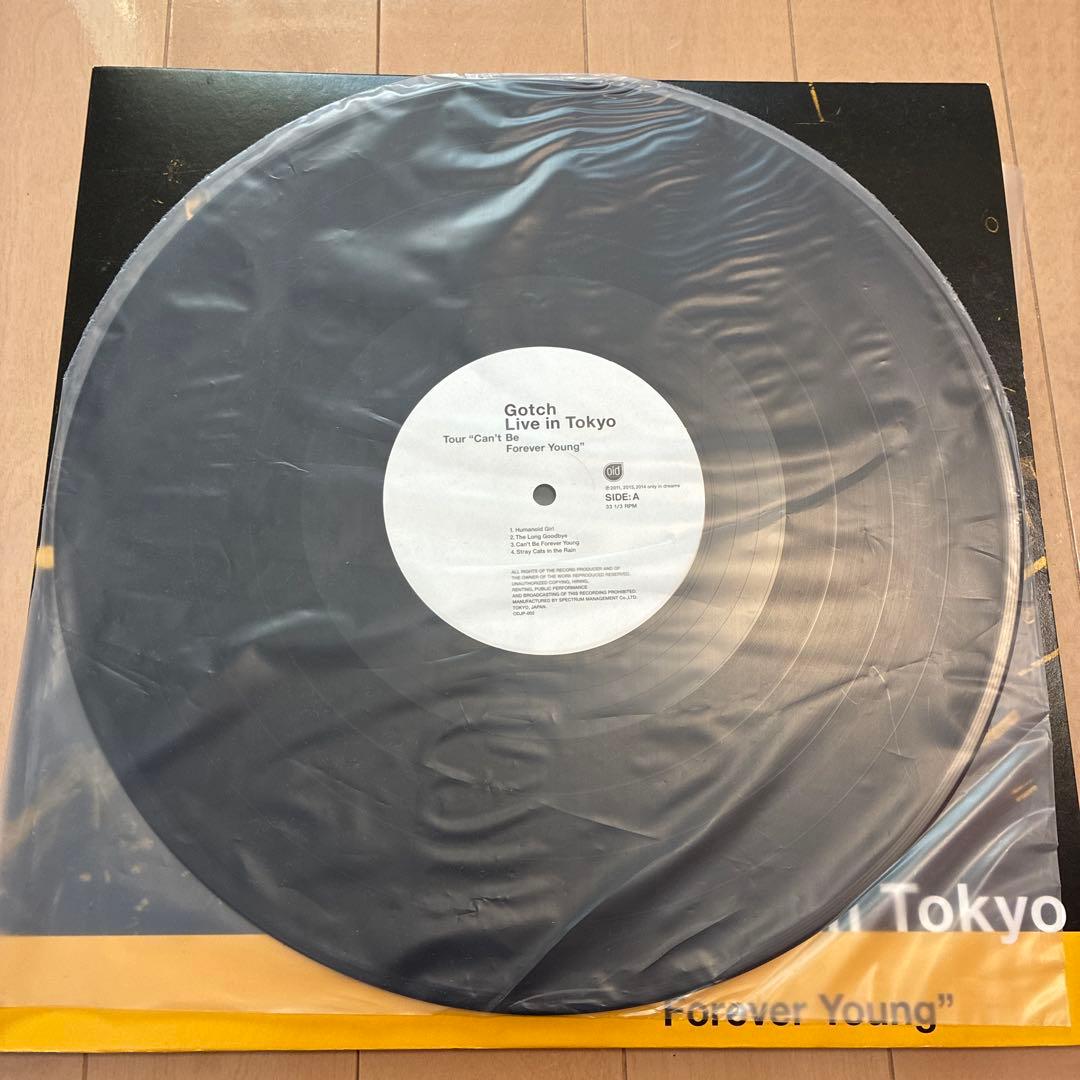 レコード LP アジカン ランドマーク live in tokyo 2枚セット