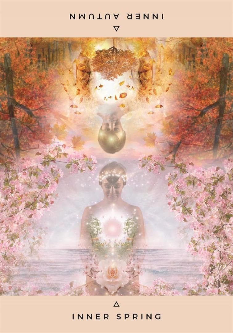 【正規品オラクルカード】美麗✨レベッカキャンベル最新作✨内なる神殿のオラクル