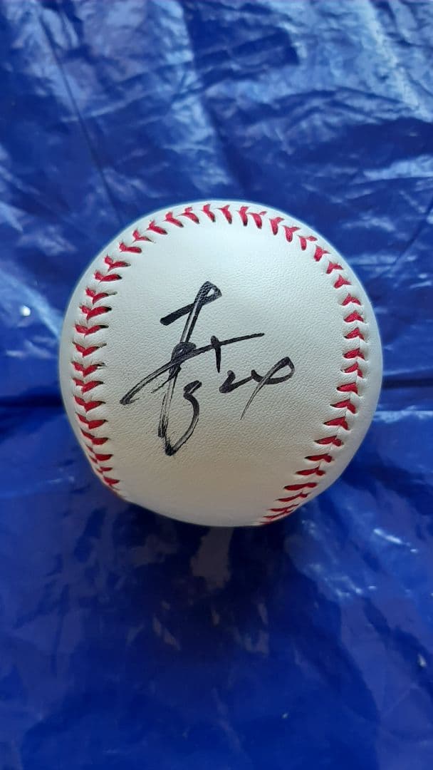 阪神 タイガース 桧山 進次郎 #24 直筆 サイン ロゴ ボール