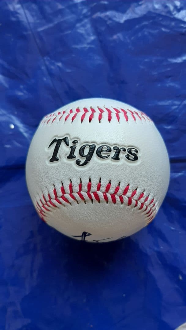 阪神 タイガース 桧山 進次郎 #24 直筆 サイン ロゴ ボール
