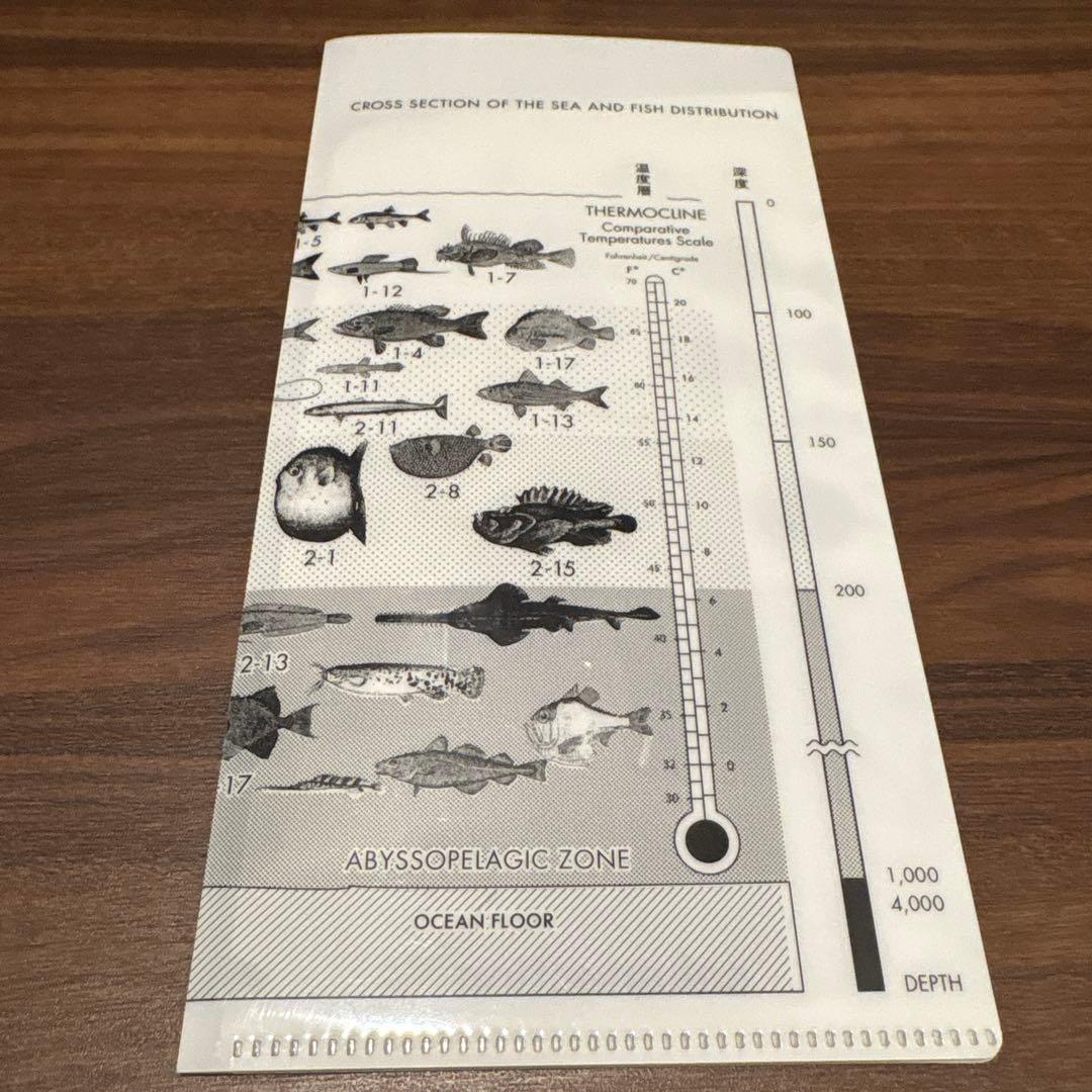 【極美品】サカナクション　魚図鑑　初回限定版CD2枚とDVD チケットホルダー付