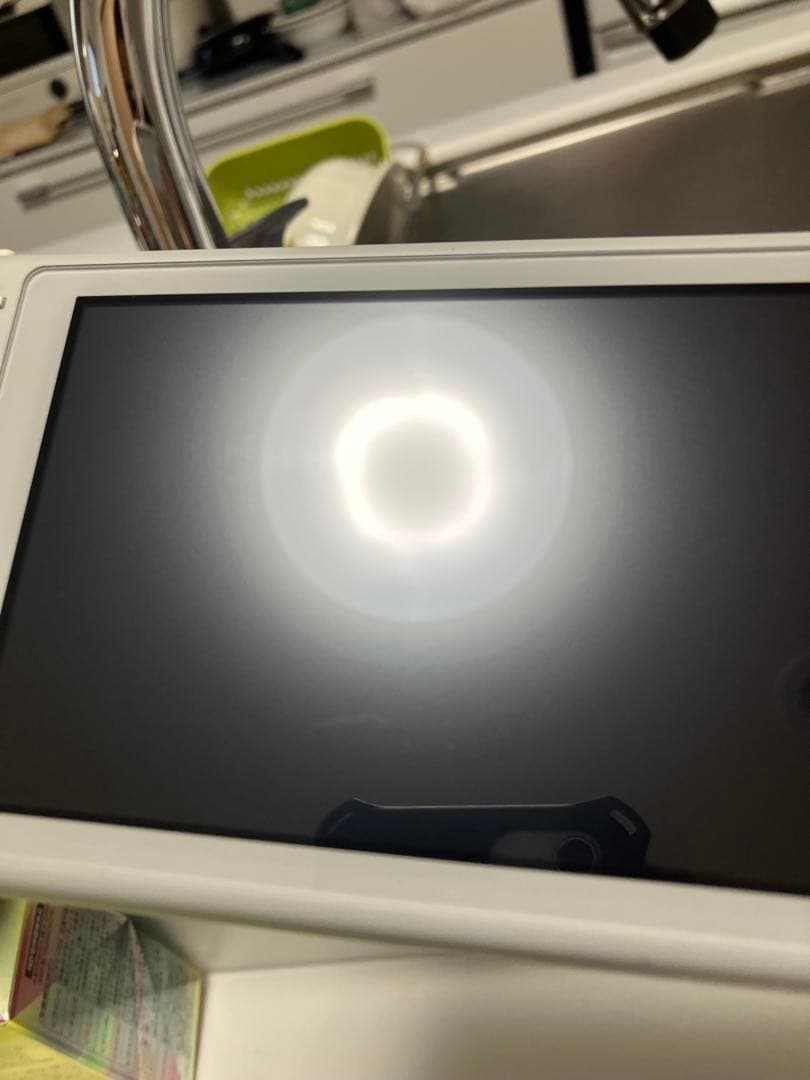 Nintendo Switch Lite グレー　ポケモン　箱なし　充電器なし