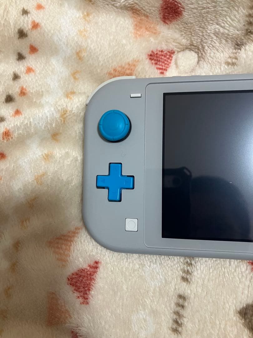 Nintendo Switch Lite グレー　ポケモン　箱なし　充電器なし