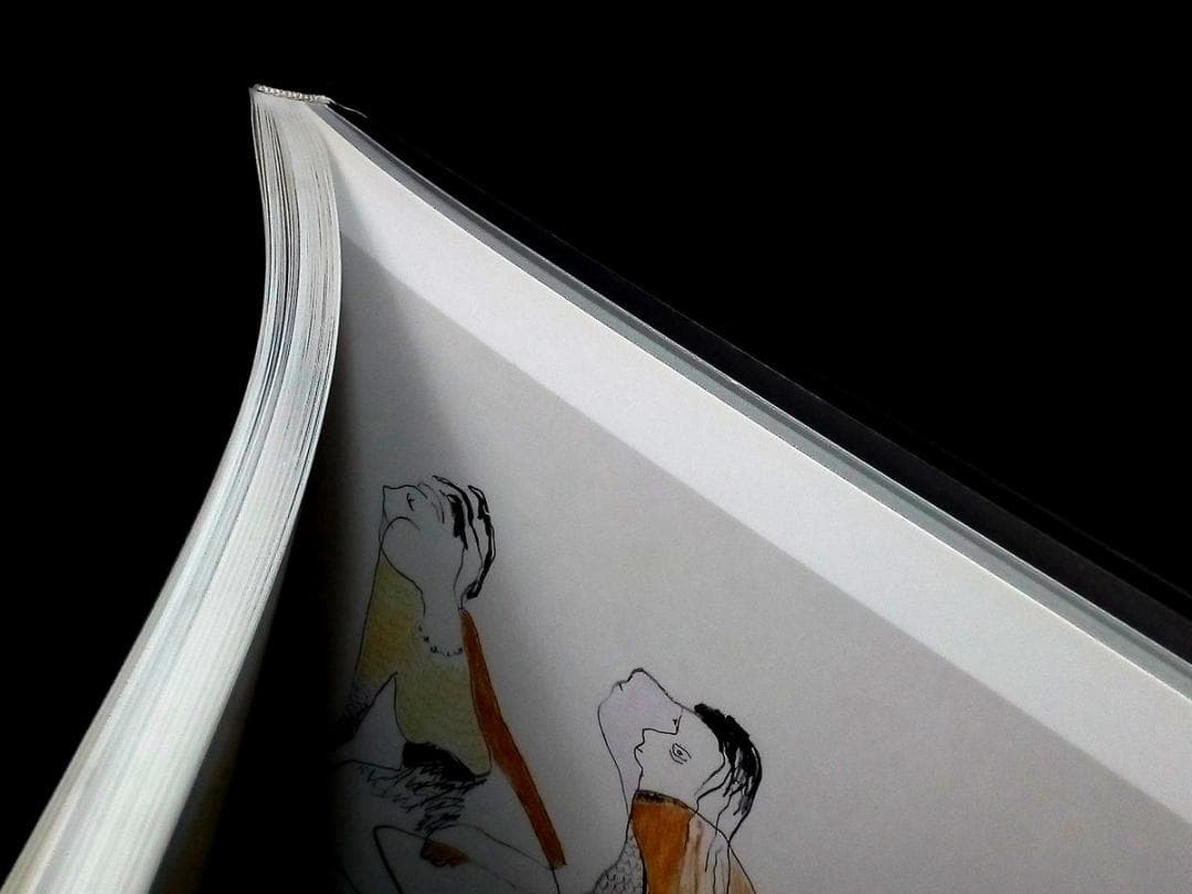 洋書 Vytenis Lingys: paintings and drawings