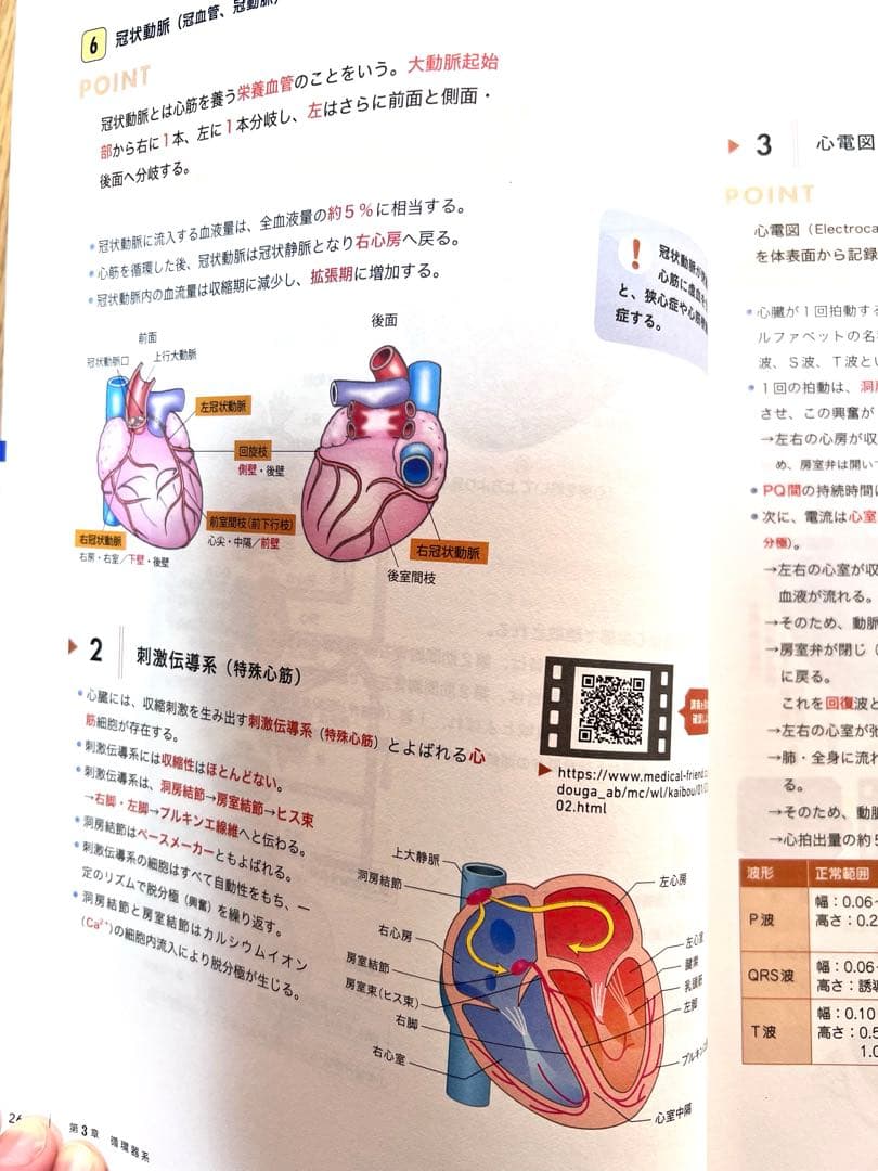 看護師国試対策 Web講座 解剖生理学