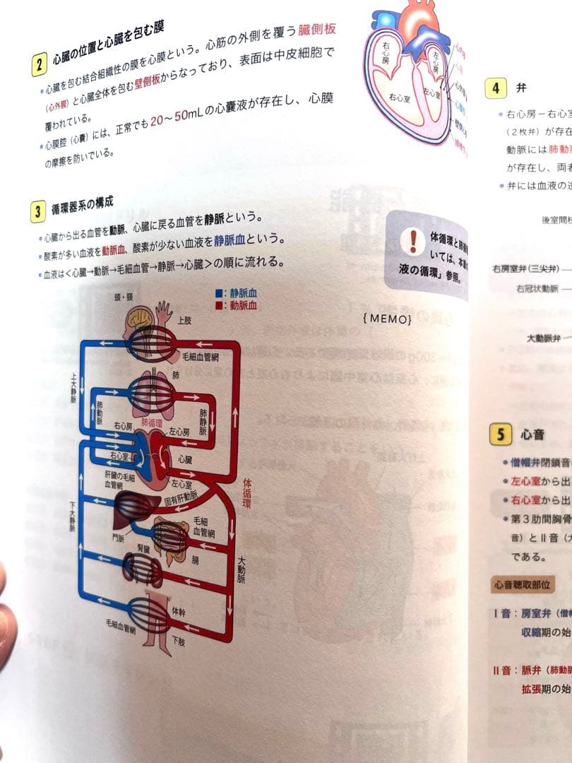 看護師国試対策 Web講座 解剖生理学