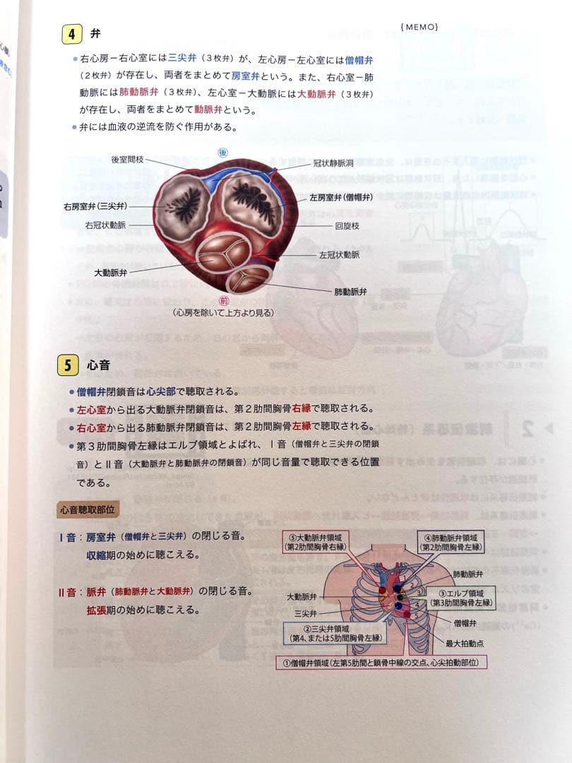 看護師国試対策 Web講座 解剖生理学
