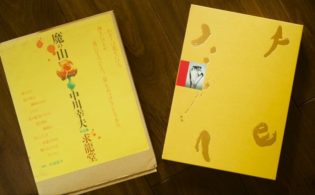 【美品】中川幸夫 作品集『魔の山』