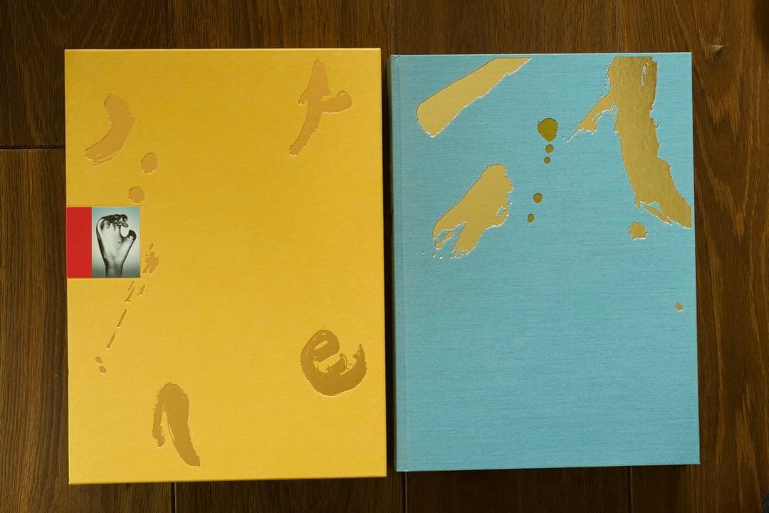 【美品】中川幸夫 作品集『魔の山』