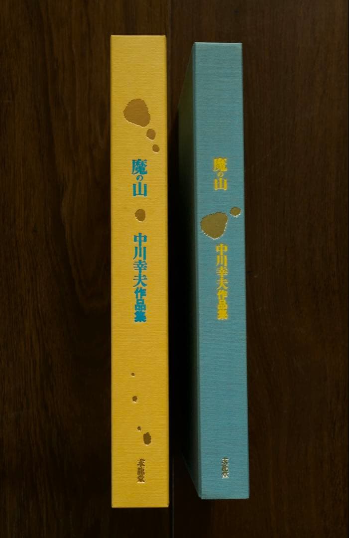 【美品】中川幸夫 作品集『魔の山』