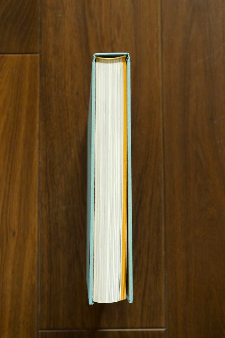 【美品】中川幸夫 作品集『魔の山』