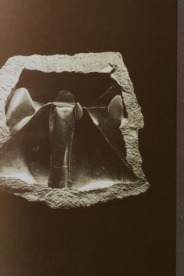 【美品】中川幸夫 作品集『魔の山』