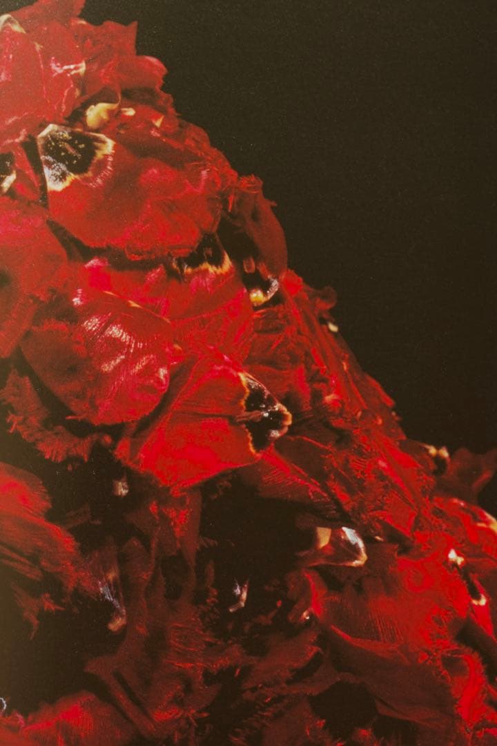 【美品】中川幸夫 作品集『魔の山』