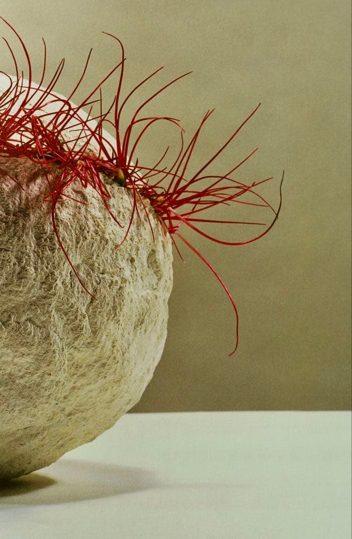 【美品】中川幸夫 作品集『魔の山』