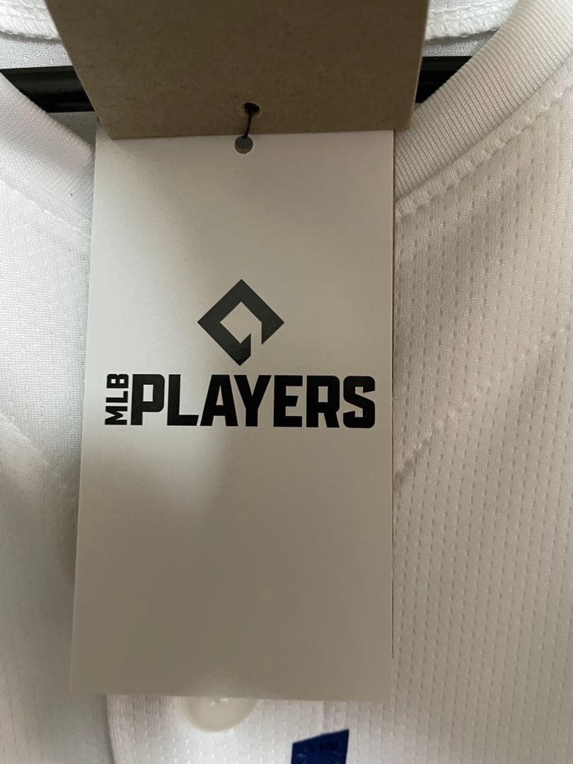 【WBC観戦】大谷選手 ドジャース ユニフォーム