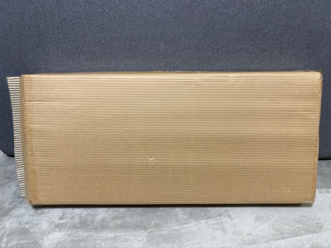 Switch ギターライフ GUITAR LIFE -LESSON-1