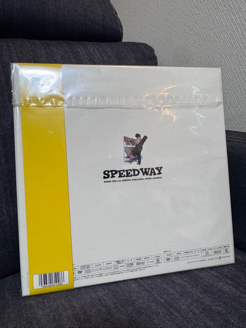 アイデン&ティティ限定版　銀杏BOYZ GOING STEADY 峯田和伸