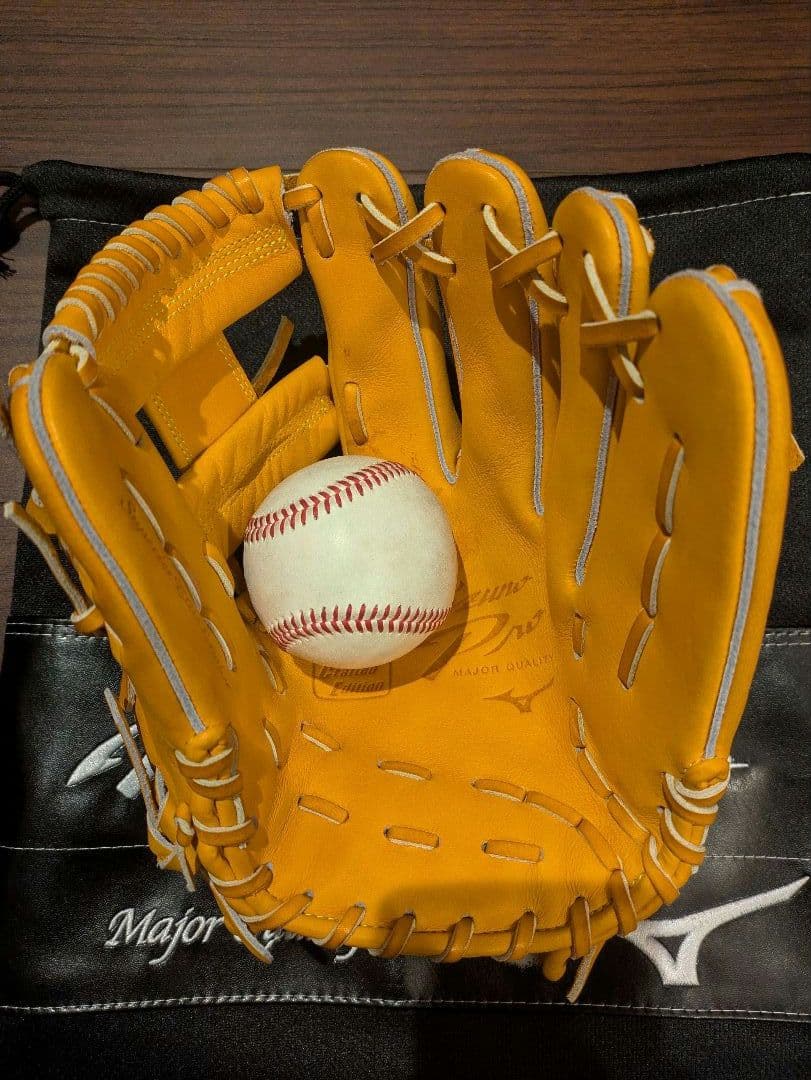 ミズノプロ 軟式用グラブ【坂本型】