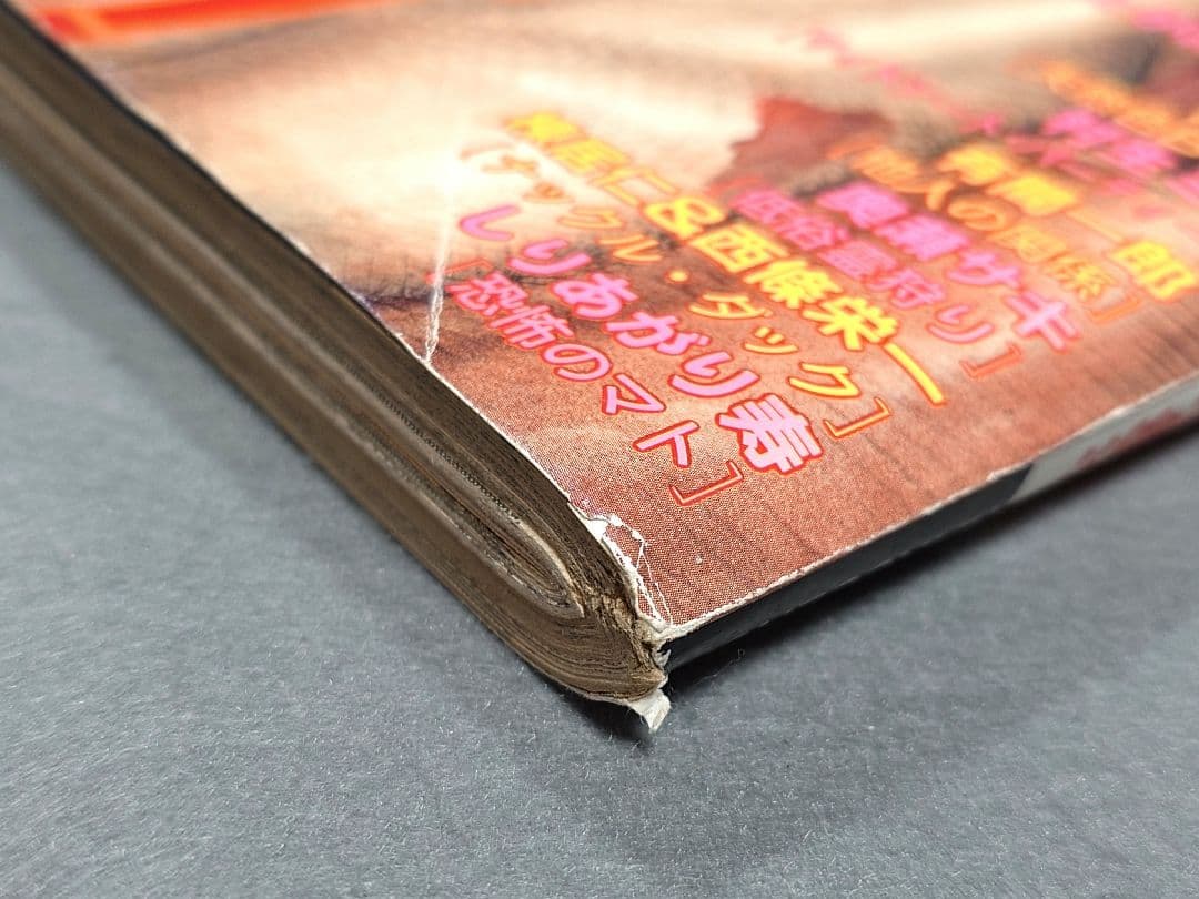 ヤングアニマル1992年創刊号『ジャパン』表紙&巻頭カラー/三浦建太郎/武論尊