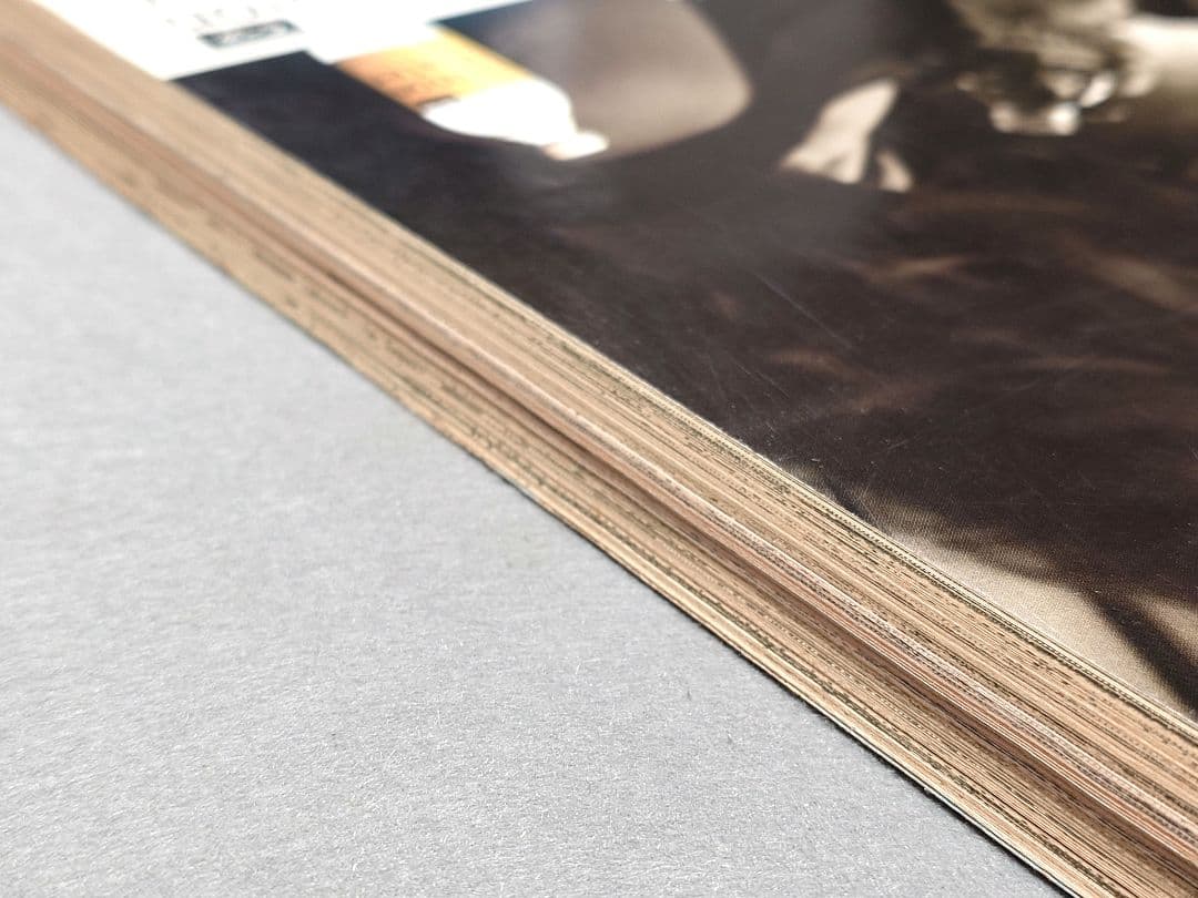 ヤングアニマル1992年創刊号『ジャパン』表紙&巻頭カラー/三浦建太郎/武論尊