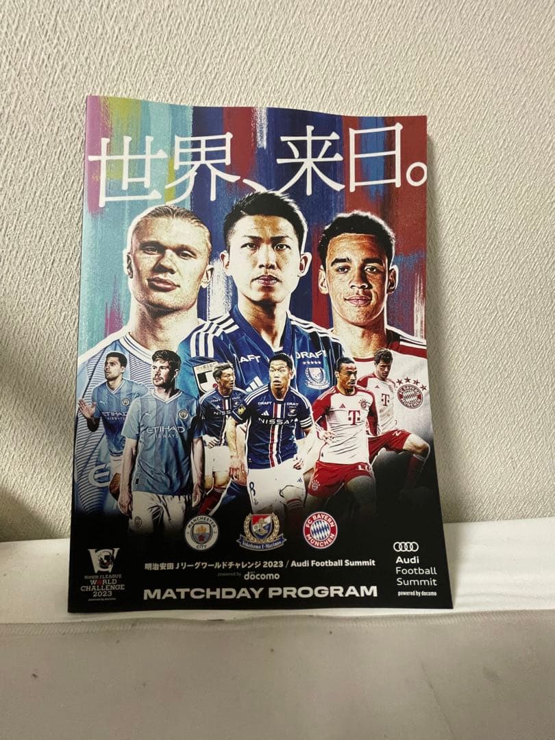 jリーグワールドチャレンジvip席入場特典セット