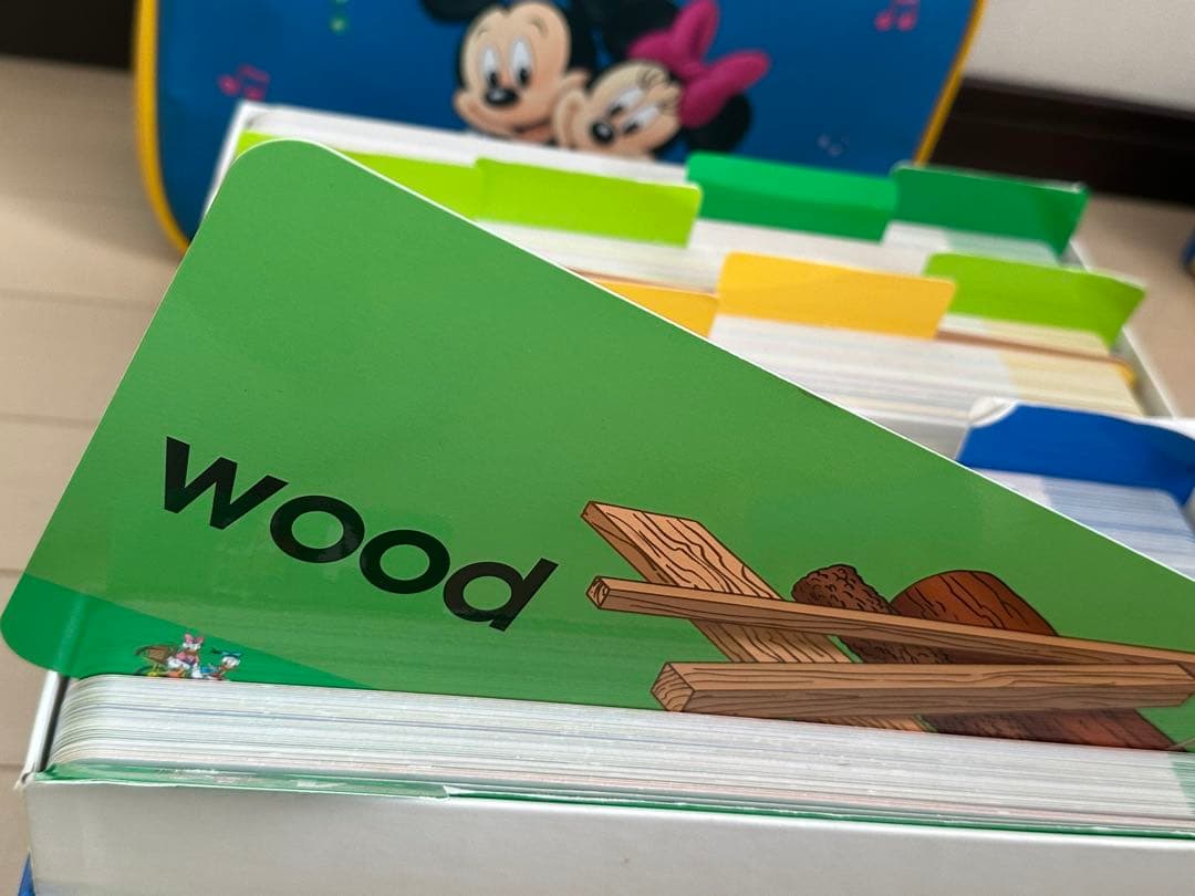 【動作OK】DWE プレイメイト カード付 ➕ おまけ