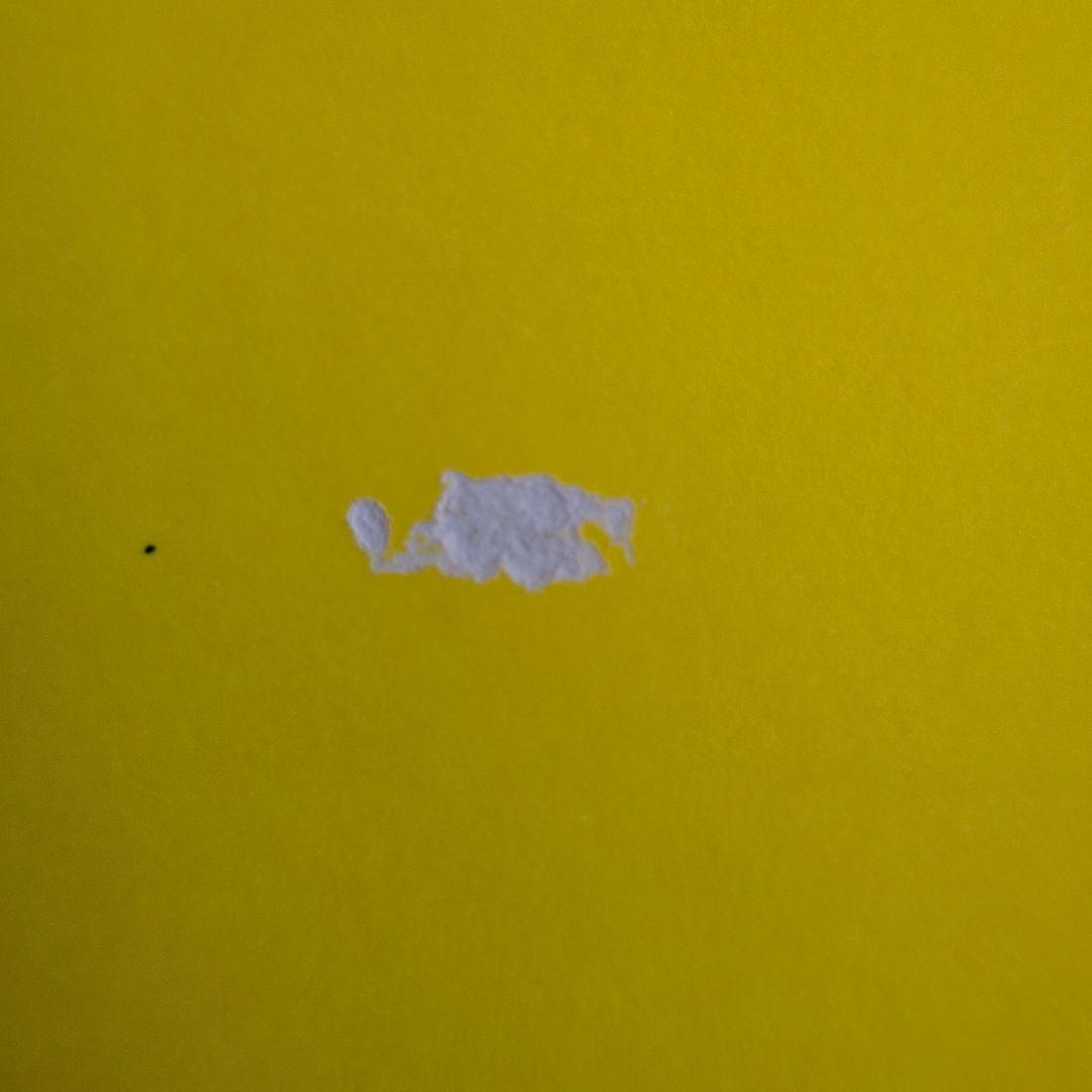 ヴィンセント・ギャロ「ブラウン・バニー」