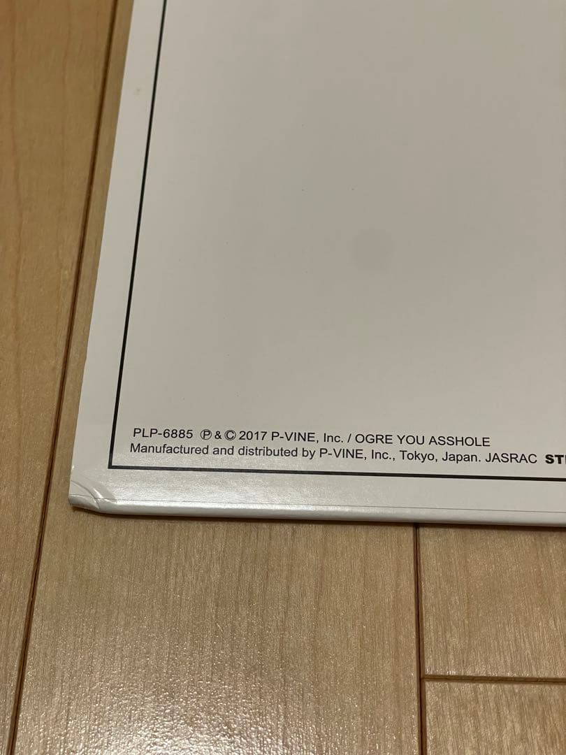 OGRE YOU ASSHOLE ハンドルを放す前に レコード LP