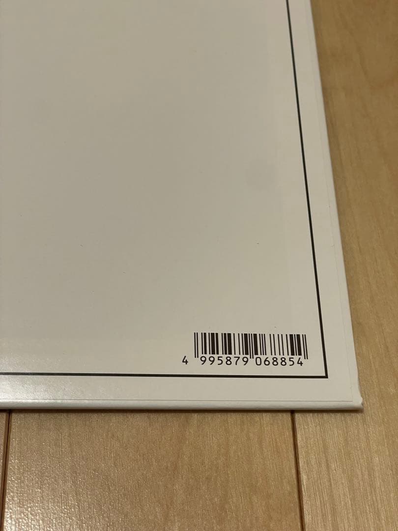 OGRE YOU ASSHOLE ハンドルを放す前に レコード LP