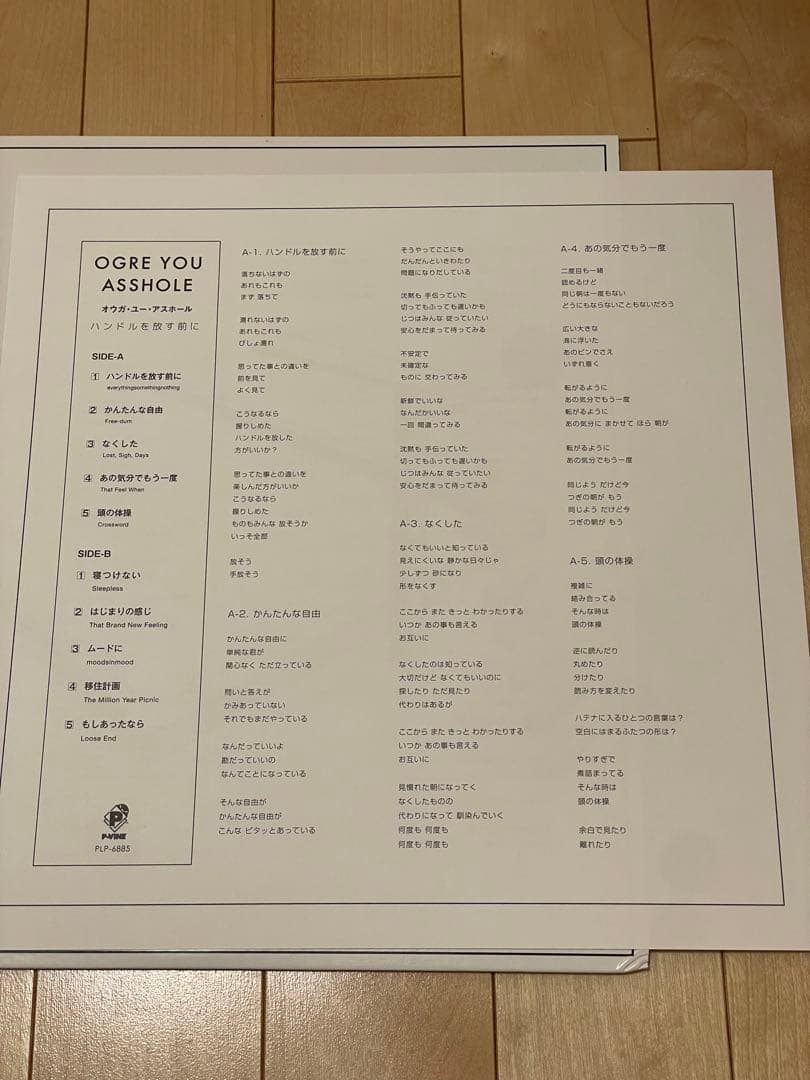 OGRE YOU ASSHOLE ハンドルを放す前に レコード LP