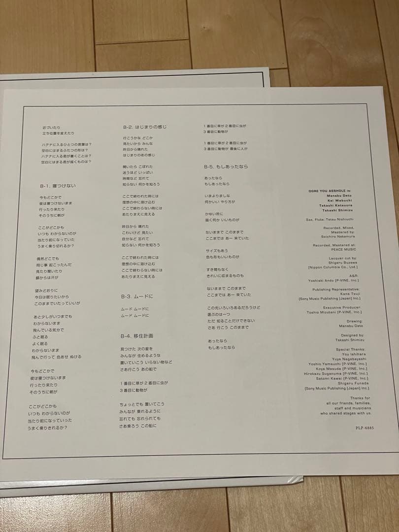 OGRE YOU ASSHOLE ハンドルを放す前に レコード LP