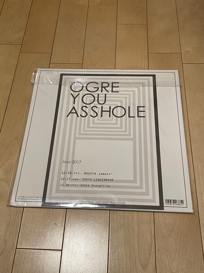 OGRE YOU ASSHOLE ハンドルを放す前に レコード LP
