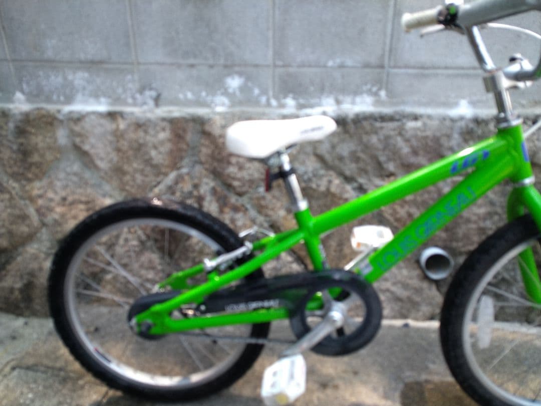 【広島より】LOUIS GARNEAU LGS-20K ルイガノ