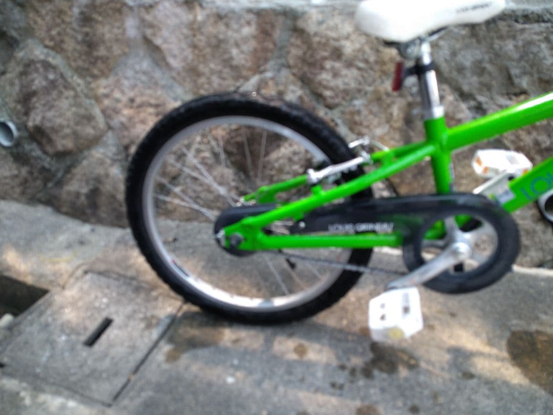 【広島より】LOUIS GARNEAU LGS-20K ルイガノ