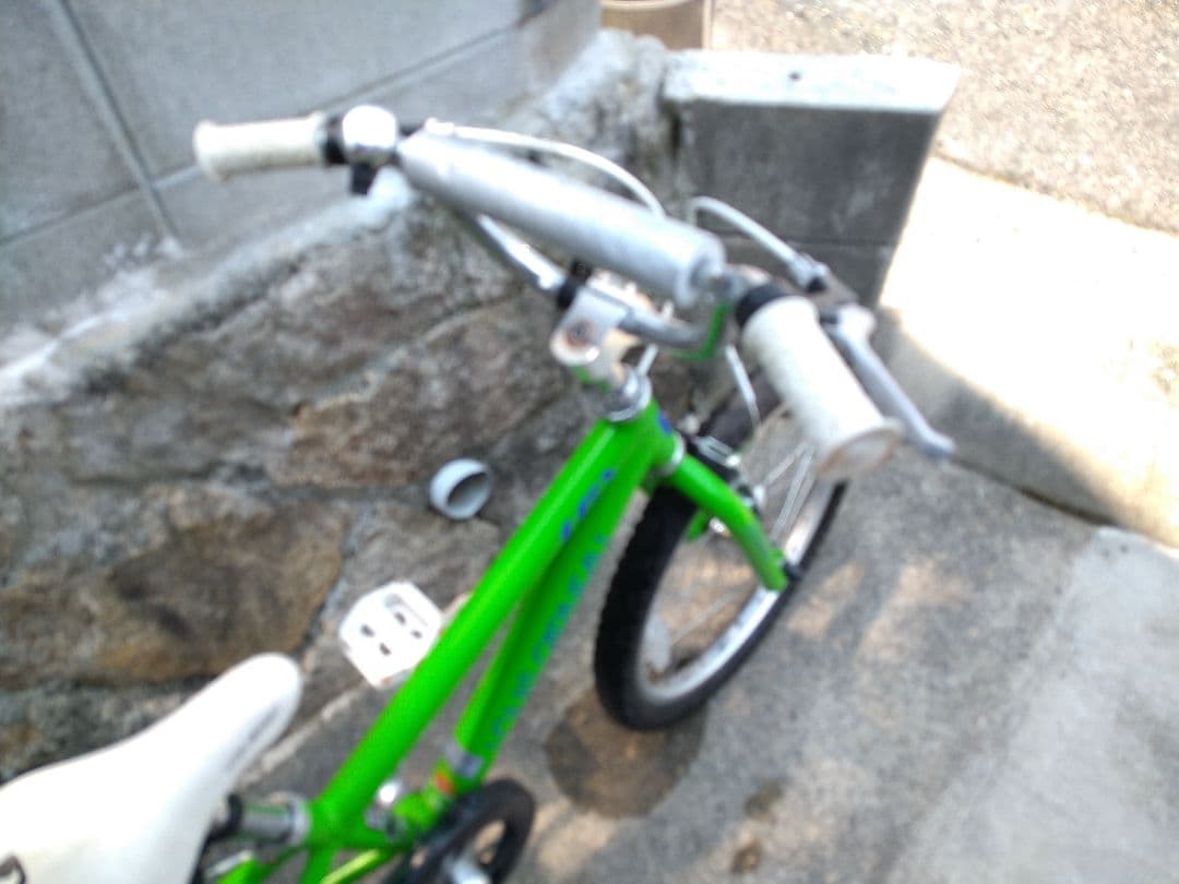 【広島より】LOUIS GARNEAU LGS-20K ルイガノ