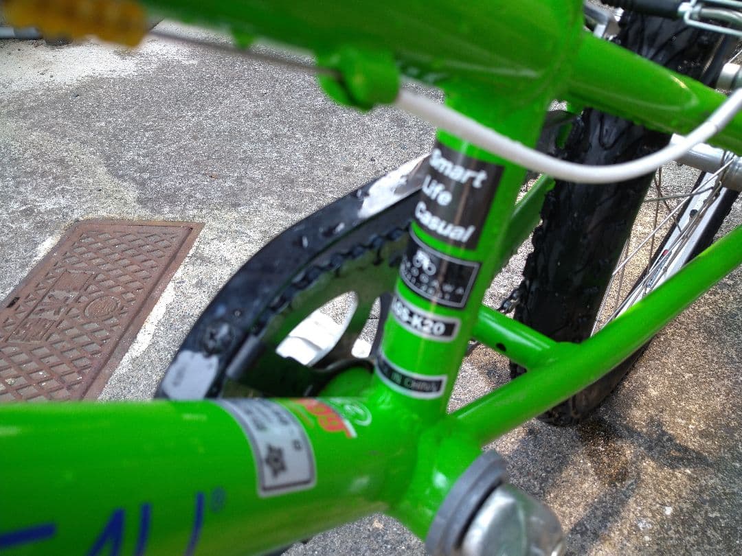 【広島より】LOUIS GARNEAU LGS-20K ルイガノ