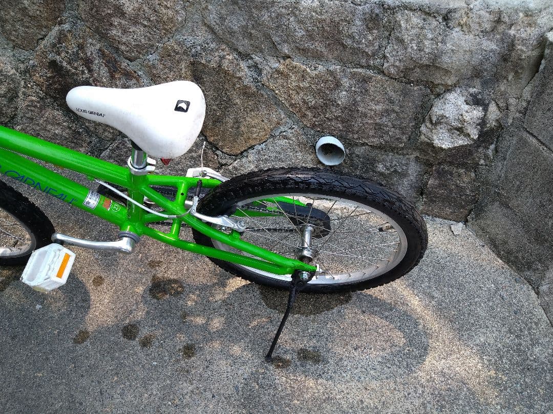 【広島より】LOUIS GARNEAU LGS-20K ルイガノ