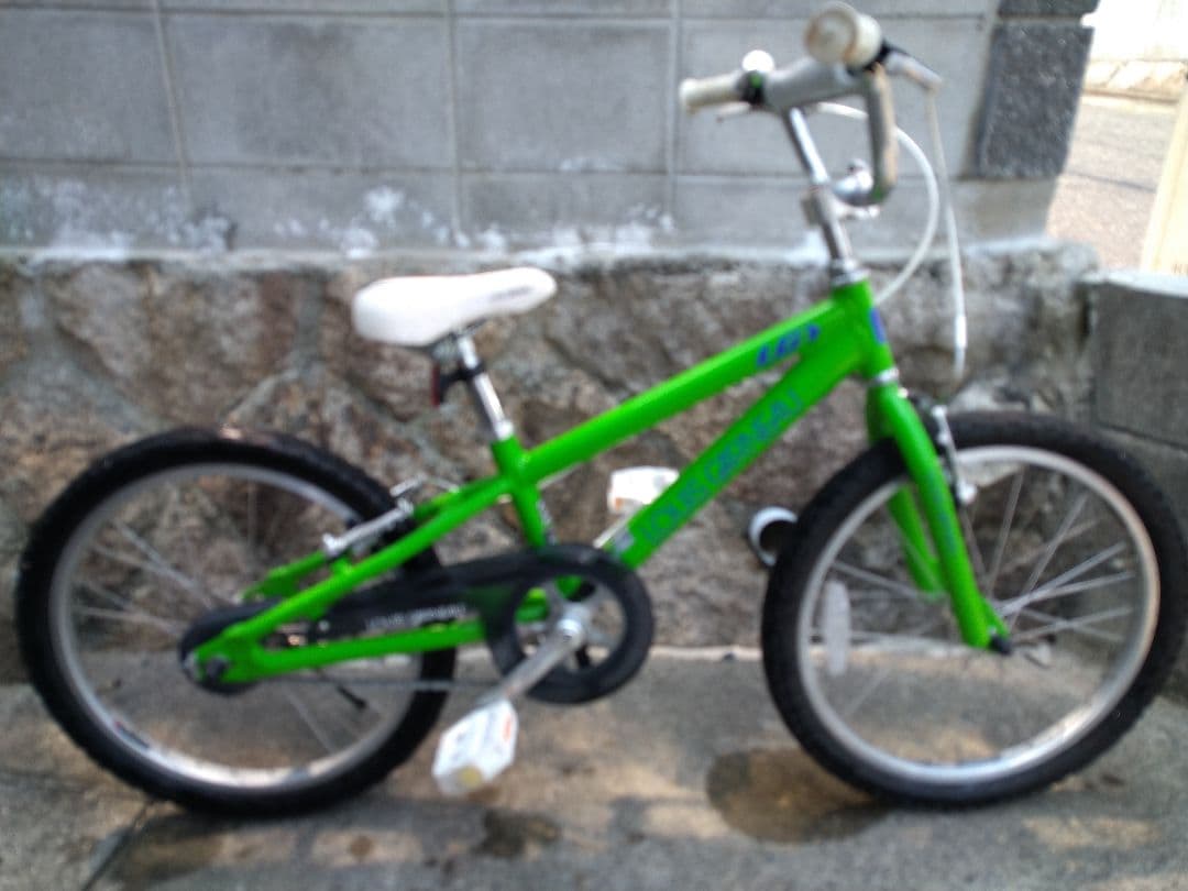 【広島より】LOUIS GARNEAU LGS-20K ルイガノ