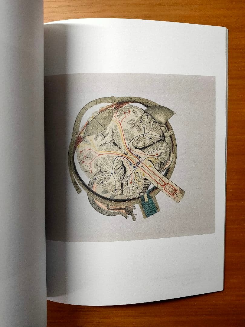 Frederick Sommer 　フレデリック・ソマー