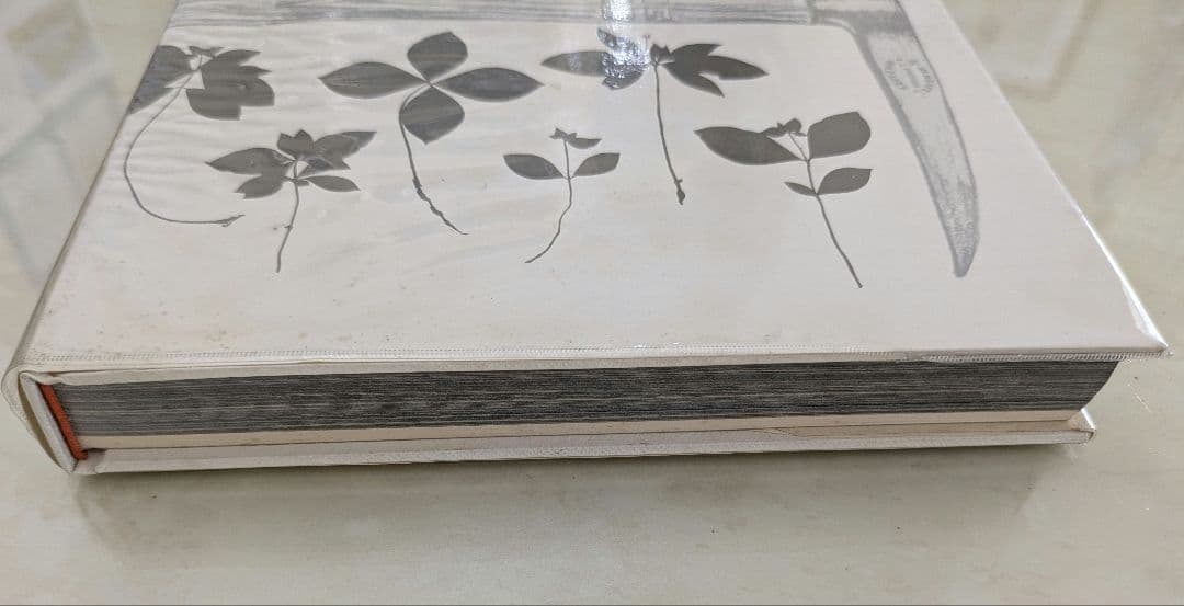 サイン入り 田淵行男 山の意匠 1971年