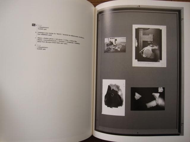 アート・デザイン・音楽 Joseph Beuys: Arena Where Would I Have