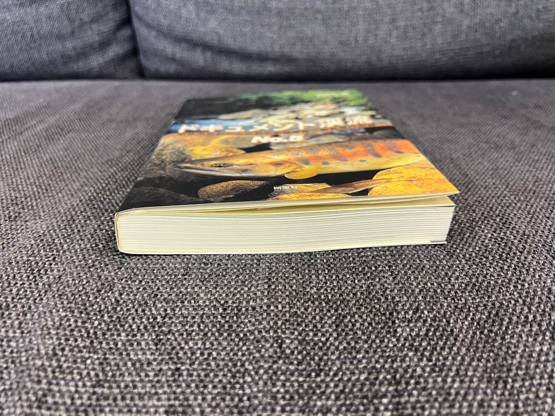 ドキュメント渓流 No.5 最終号 初版 2000年 渓流釣り記録 趣味本実用