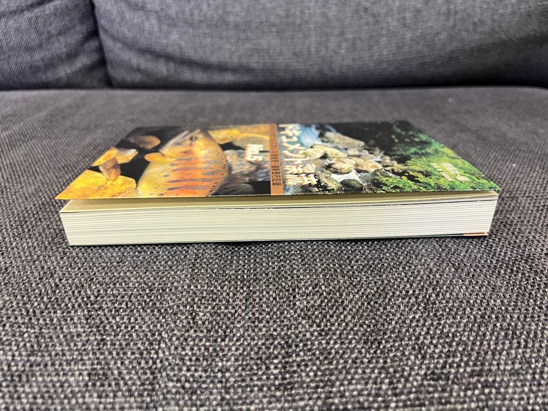 ドキュメント渓流 No.5 最終号 初版 2000年 渓流釣り記録 趣味本実用