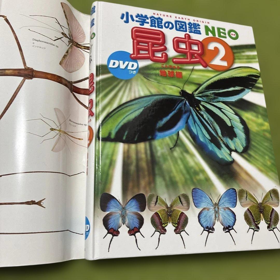 図鑑　講談社の動く図鑑move 小学館の図鑑NEO マクドナルド　DVDあり